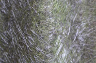 Houghton Bank fibreglass roof work